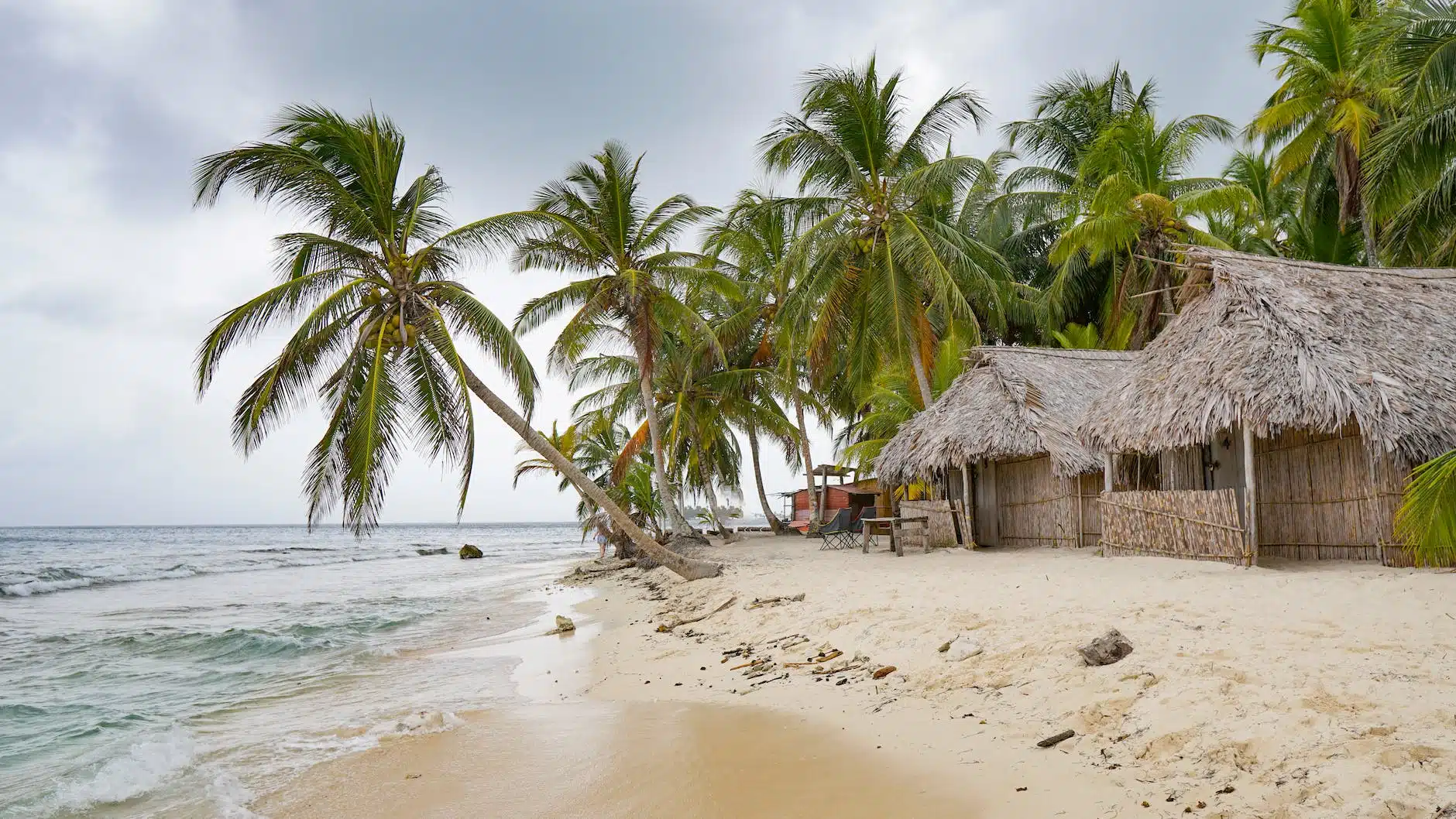 coconut trees on the shore near nipa huts