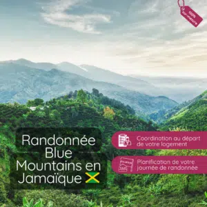 randonnée-blue-mountains-jamaïque